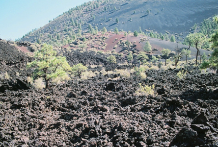 [Large chunks of volcanic rock covering the landscape.]